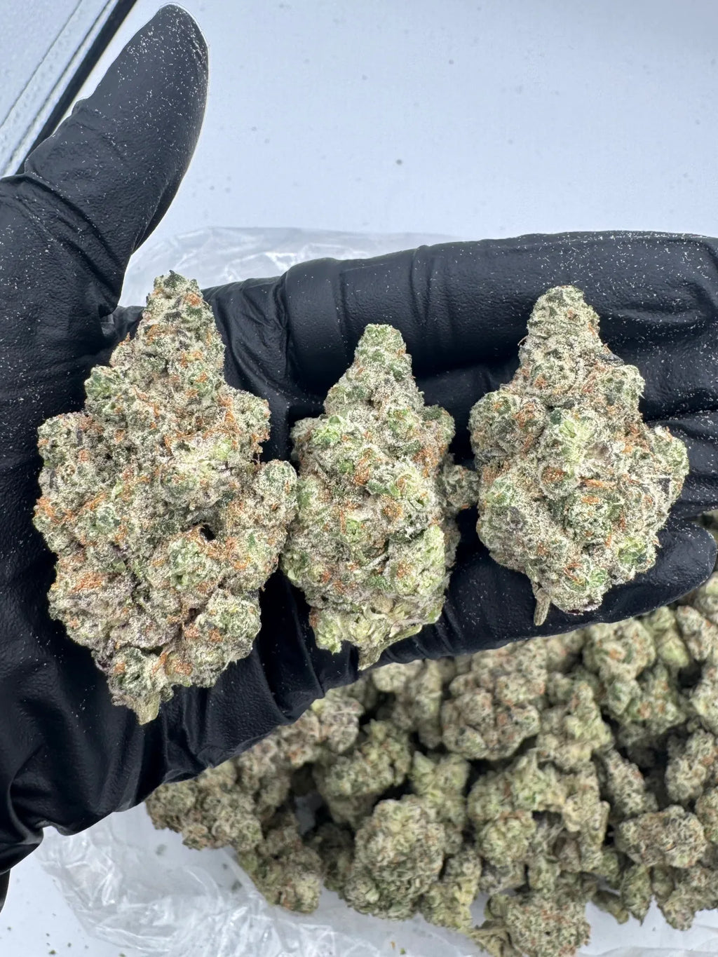 AFGHAN – INDOOR THCA