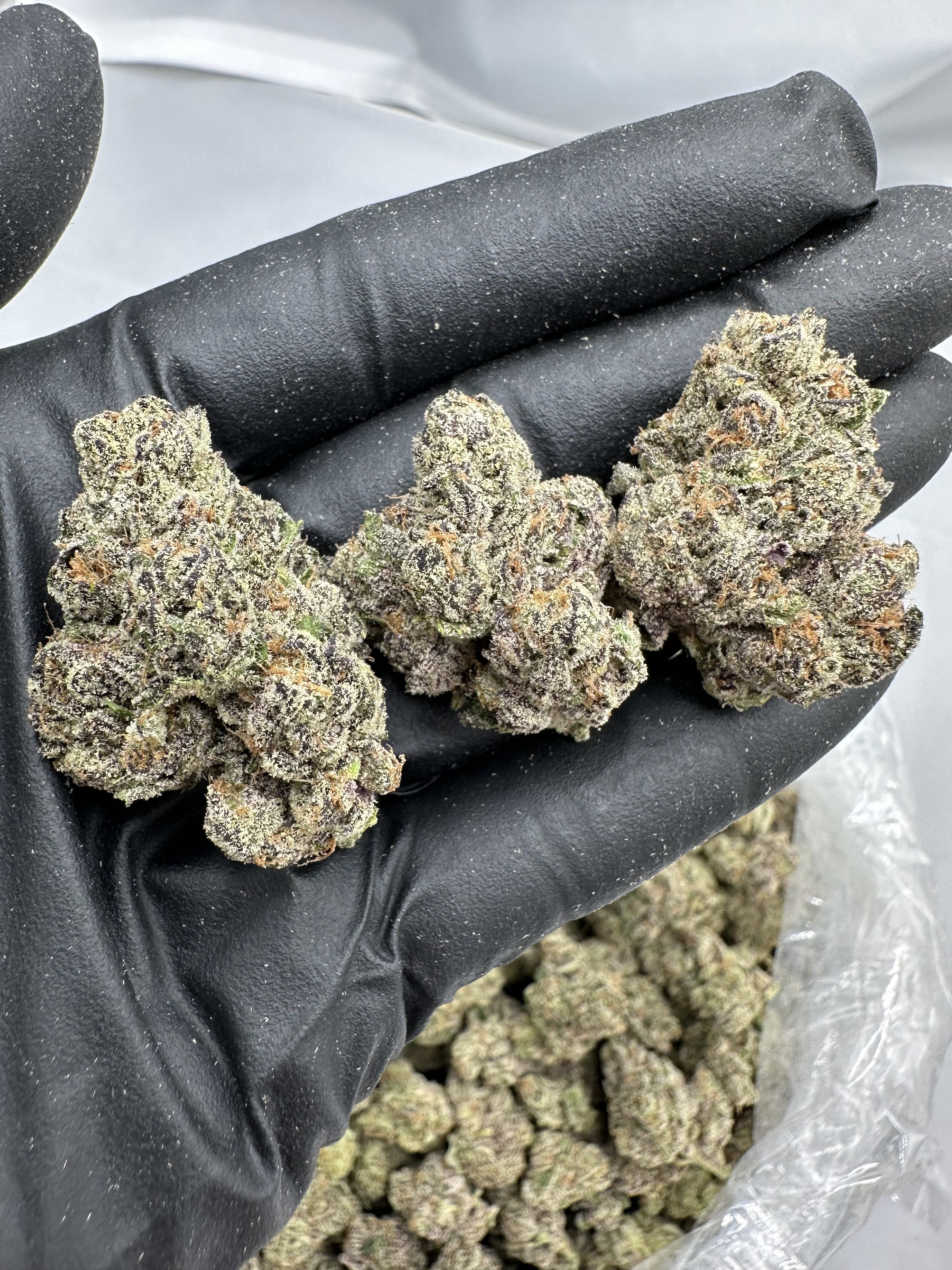 BLUE LOBSTER – INDOOR THCA