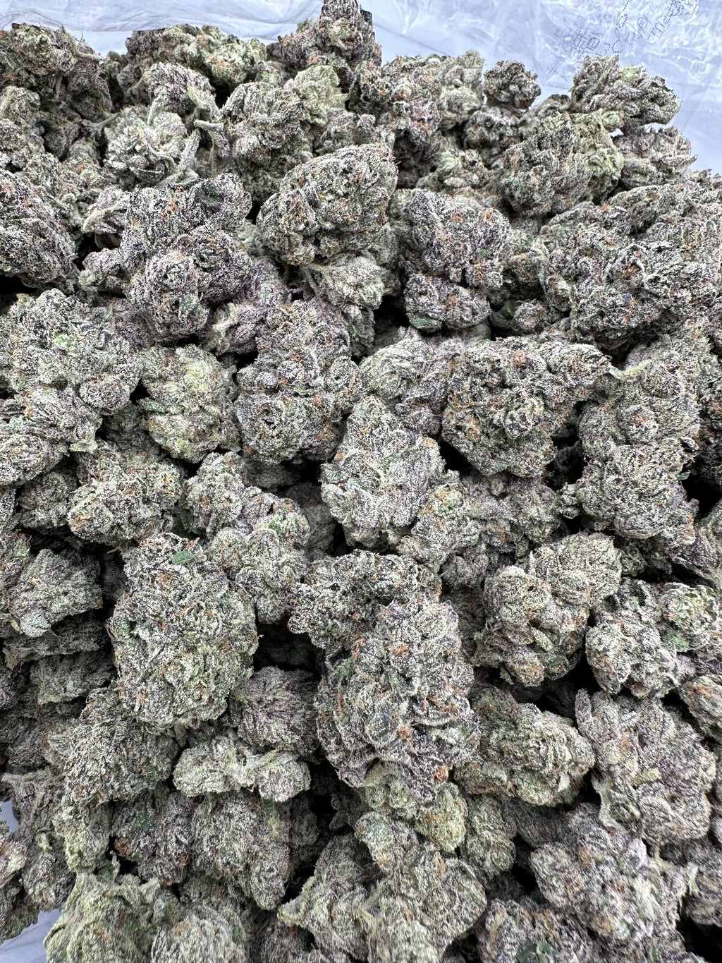 BLUE LOBSTER – INDOOR THCA