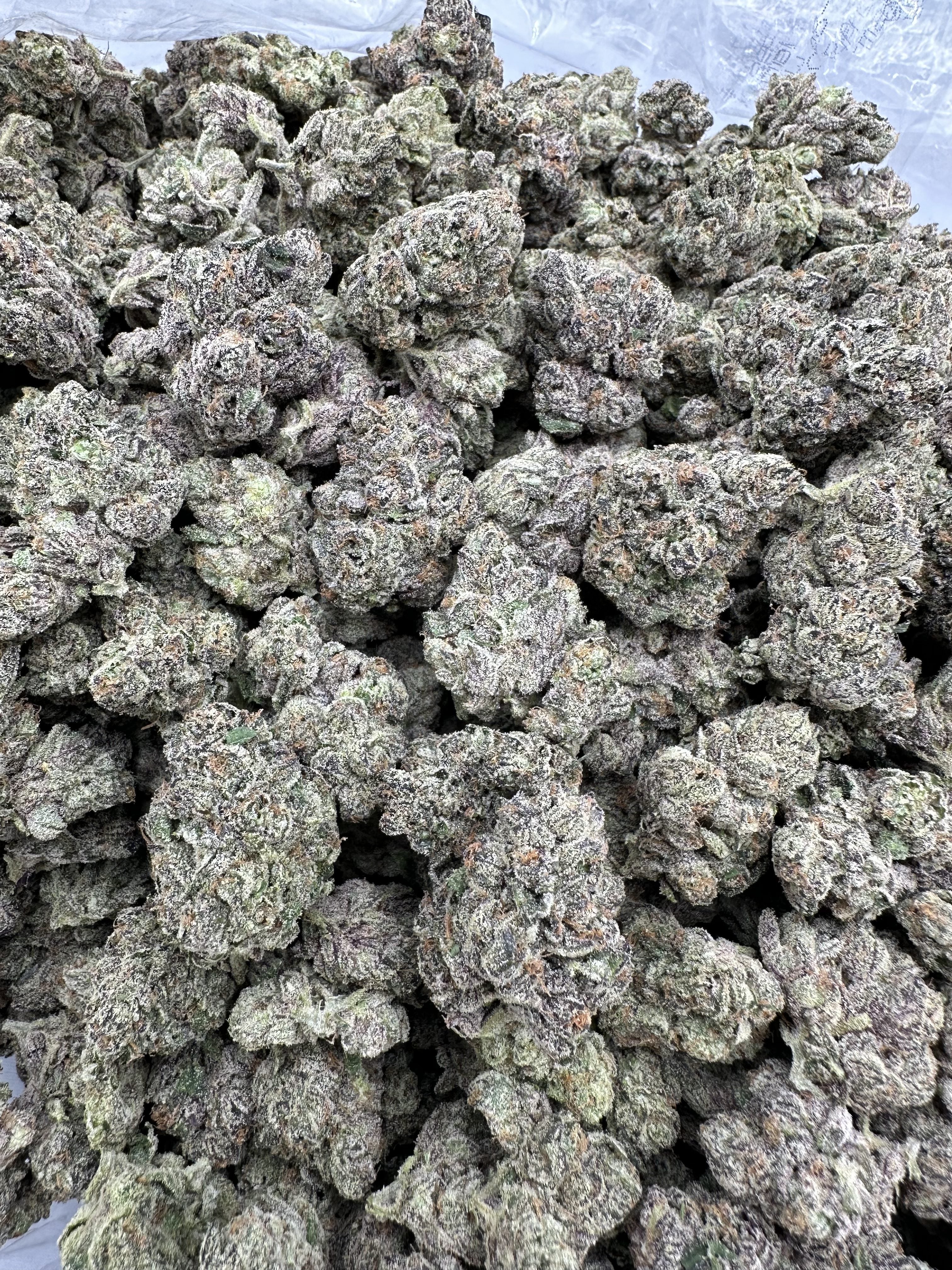 BLUE LOBSTER – INDOOR THCA