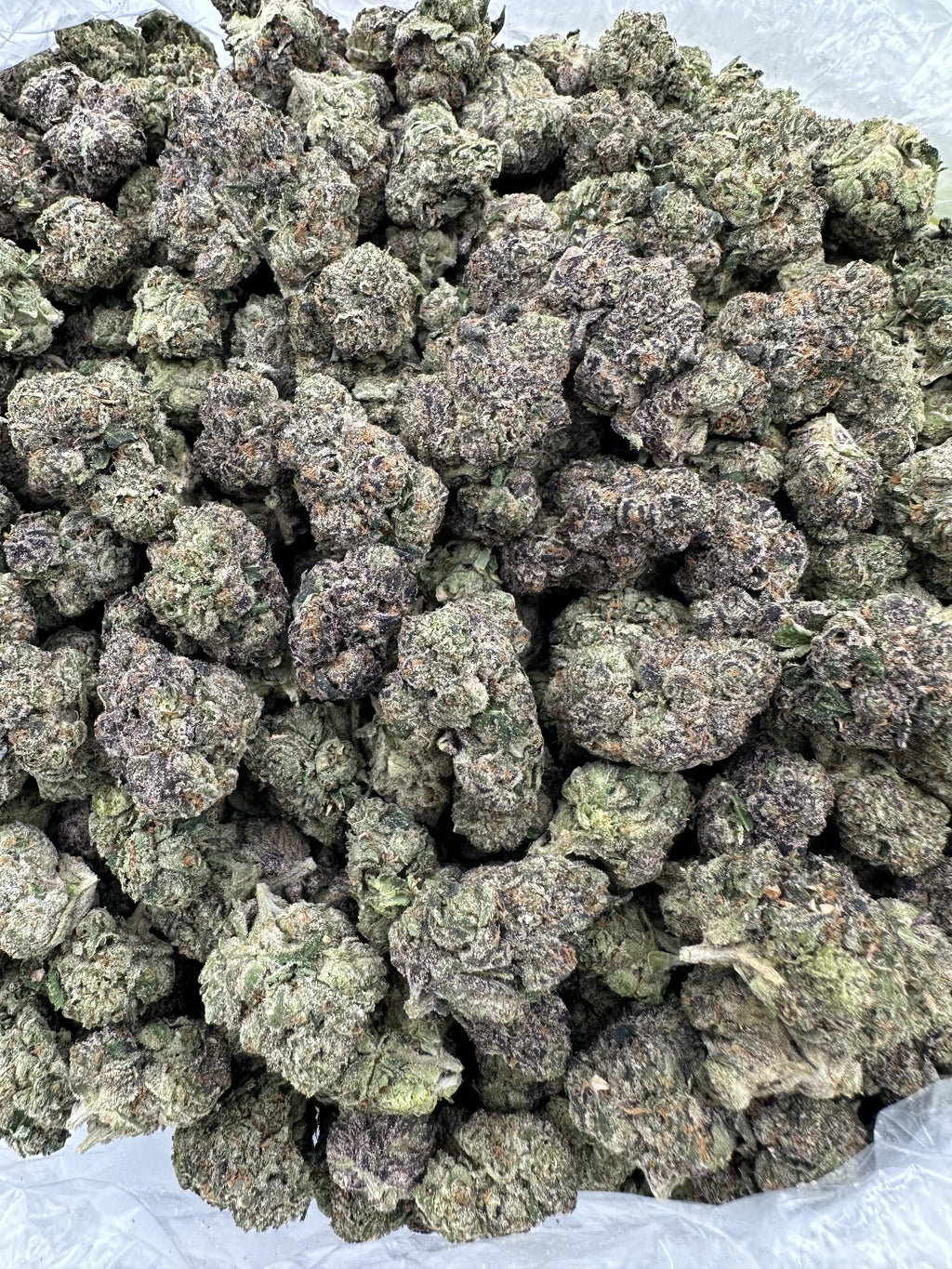 GARY PAYTON – INDOOR THCA