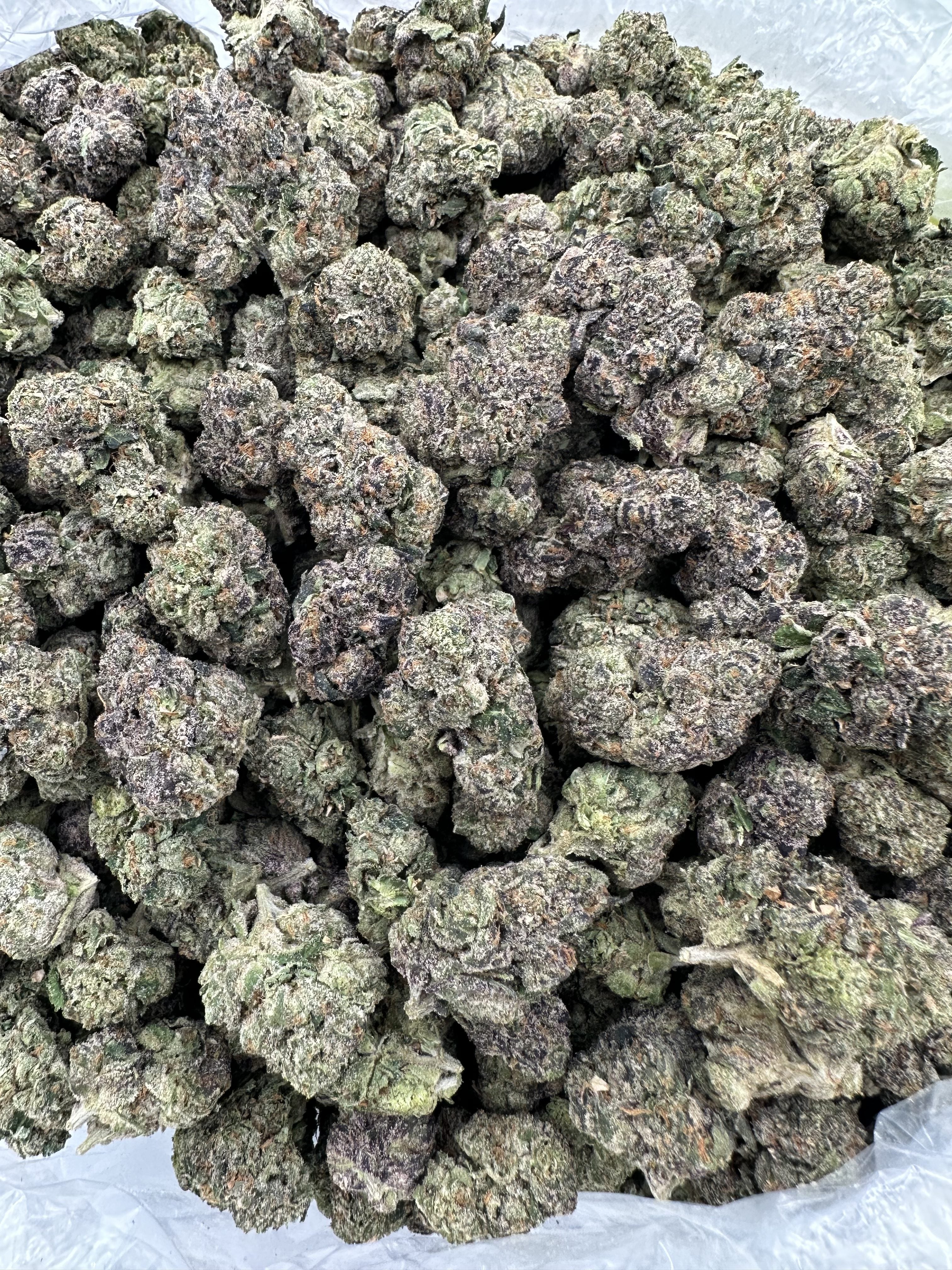 GARY PAYTON – INDOOR THCA