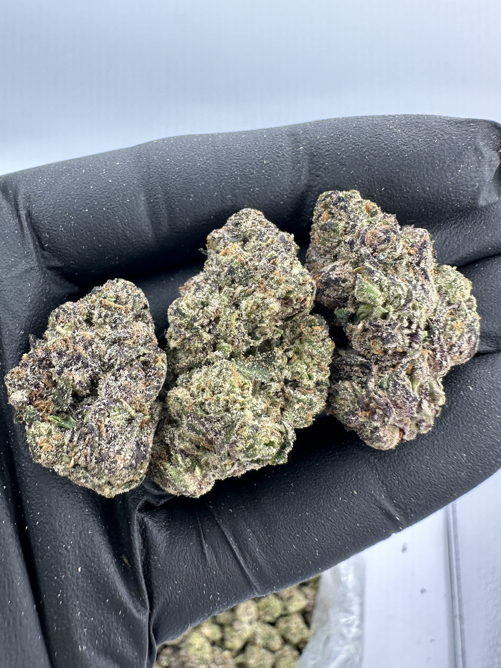 GARY PAYTON – INDOOR THCA