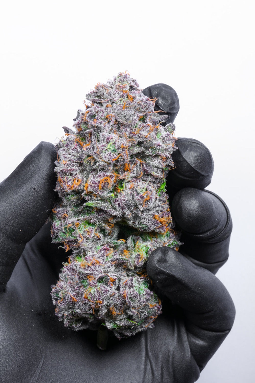 41 Cherries Full Flavor CBD