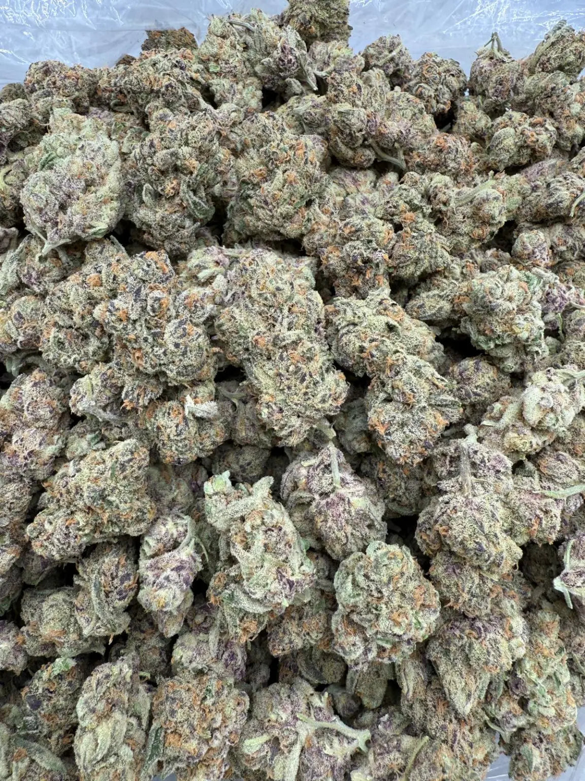 MANDARIN COOKIES – INDOOR THCA