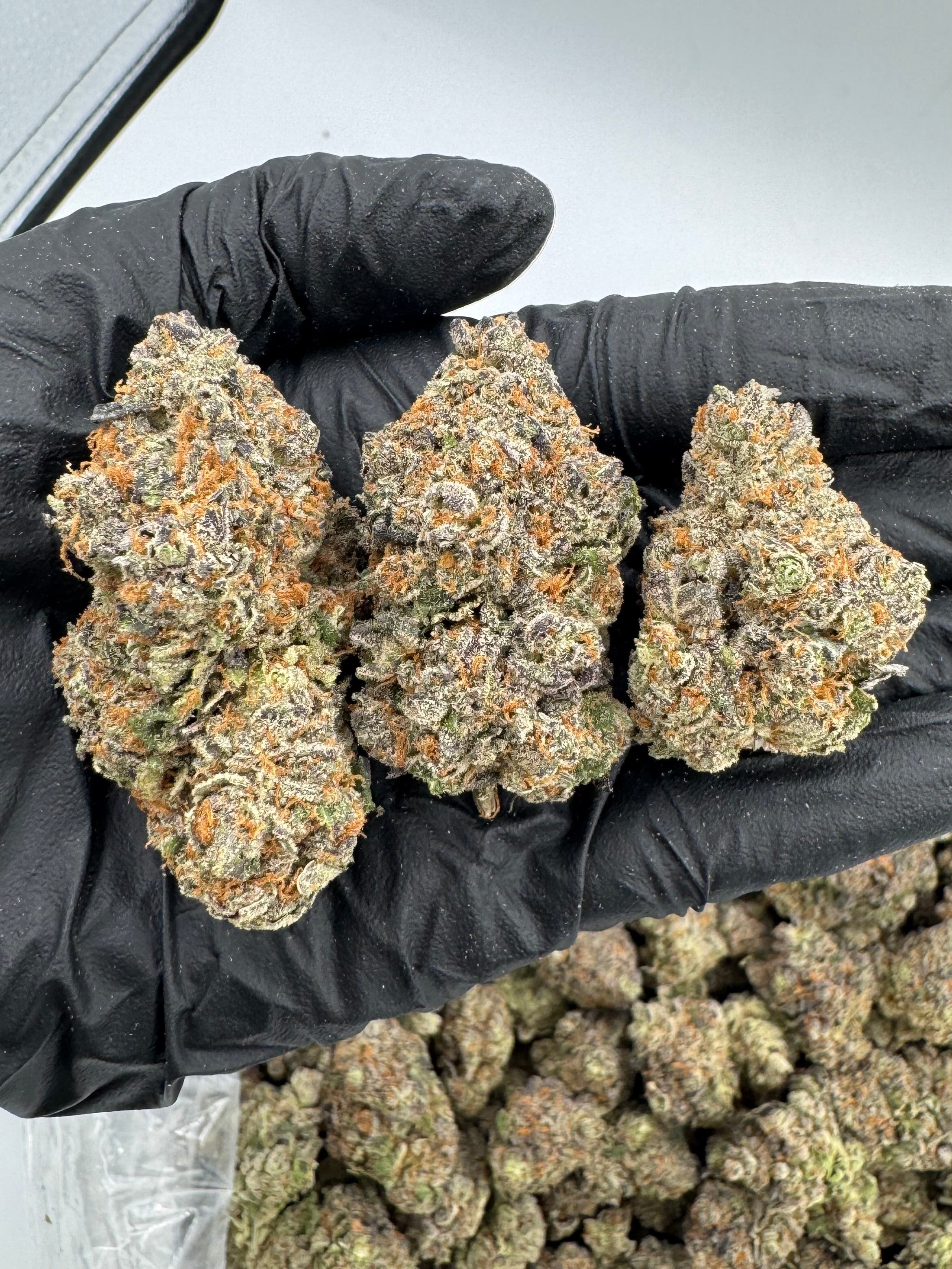 PANAMA RED – INDOOR THCA