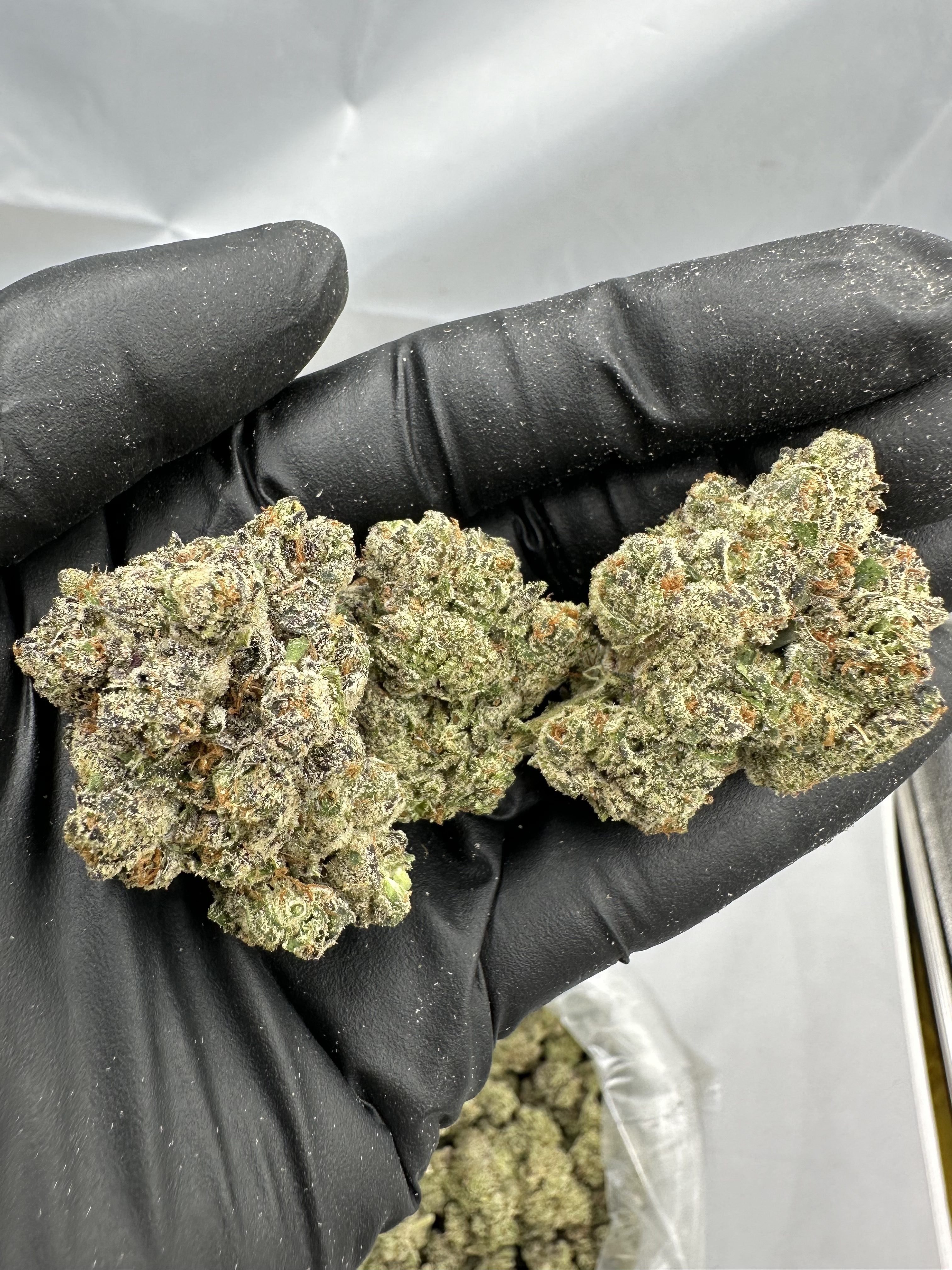 PINEAPPLE EXPRESS – INDOOR THCA