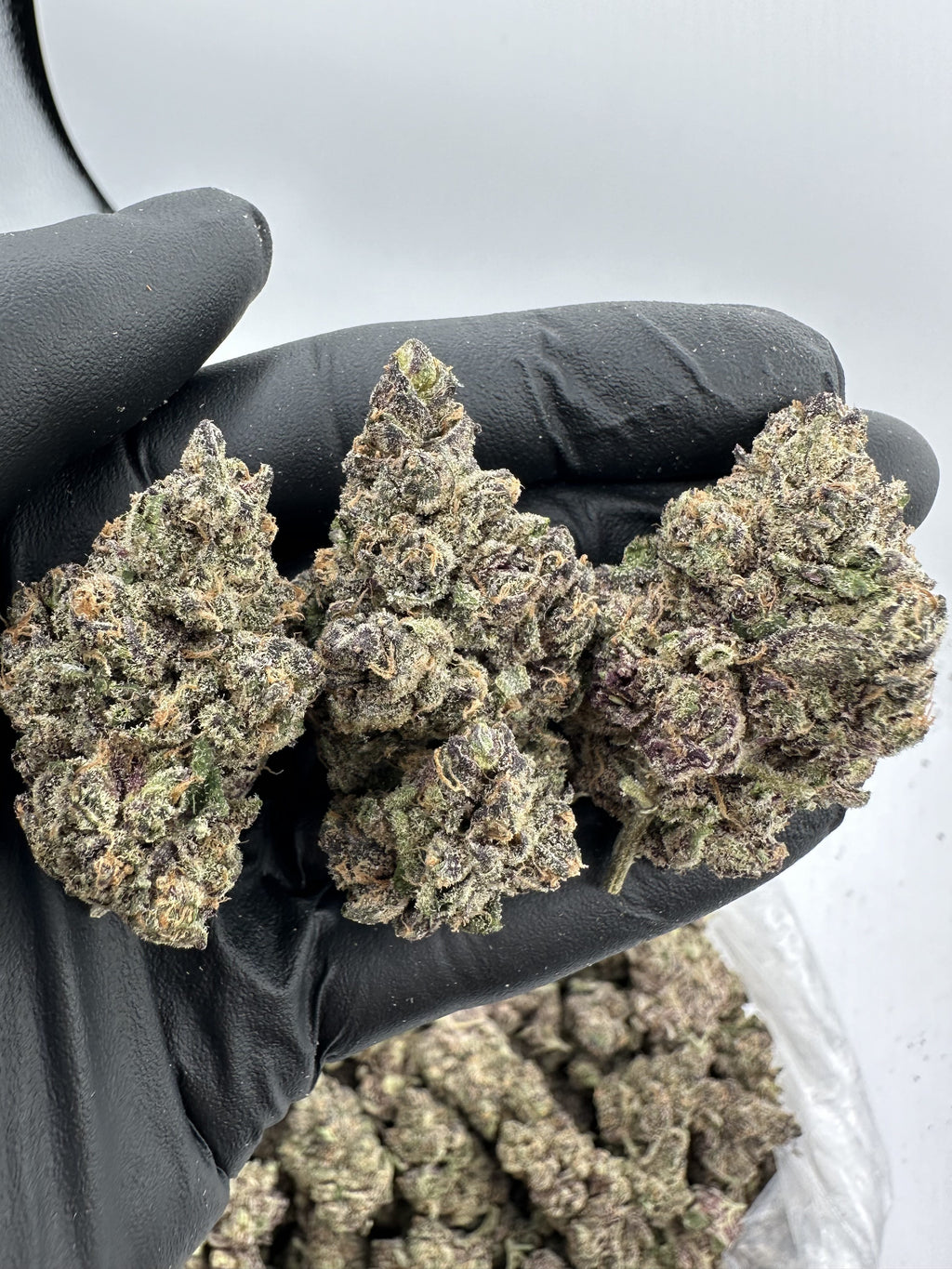 PINK ROZAY – INDOOR THCA