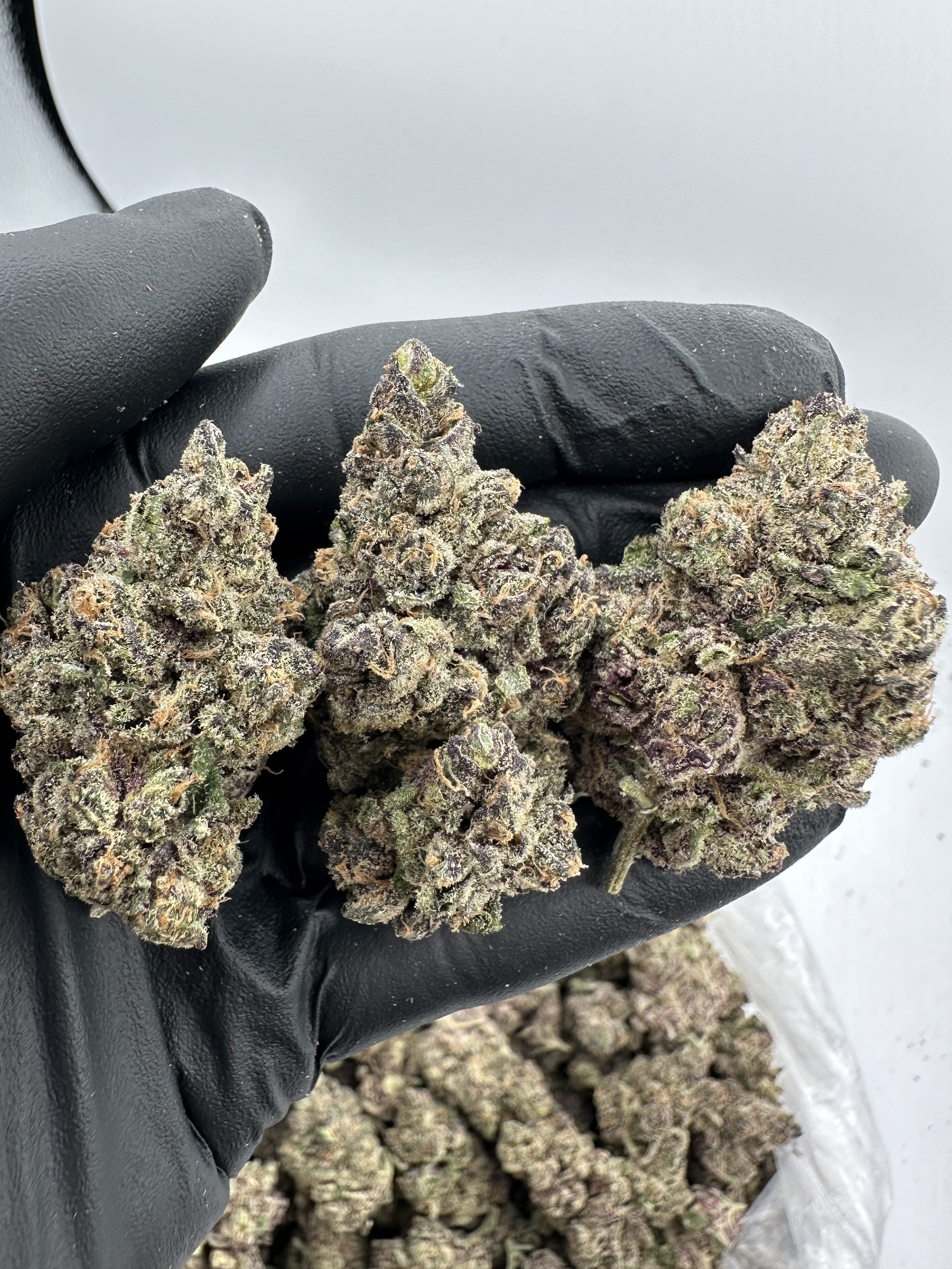 PINK ROZAY – INDOOR THCA