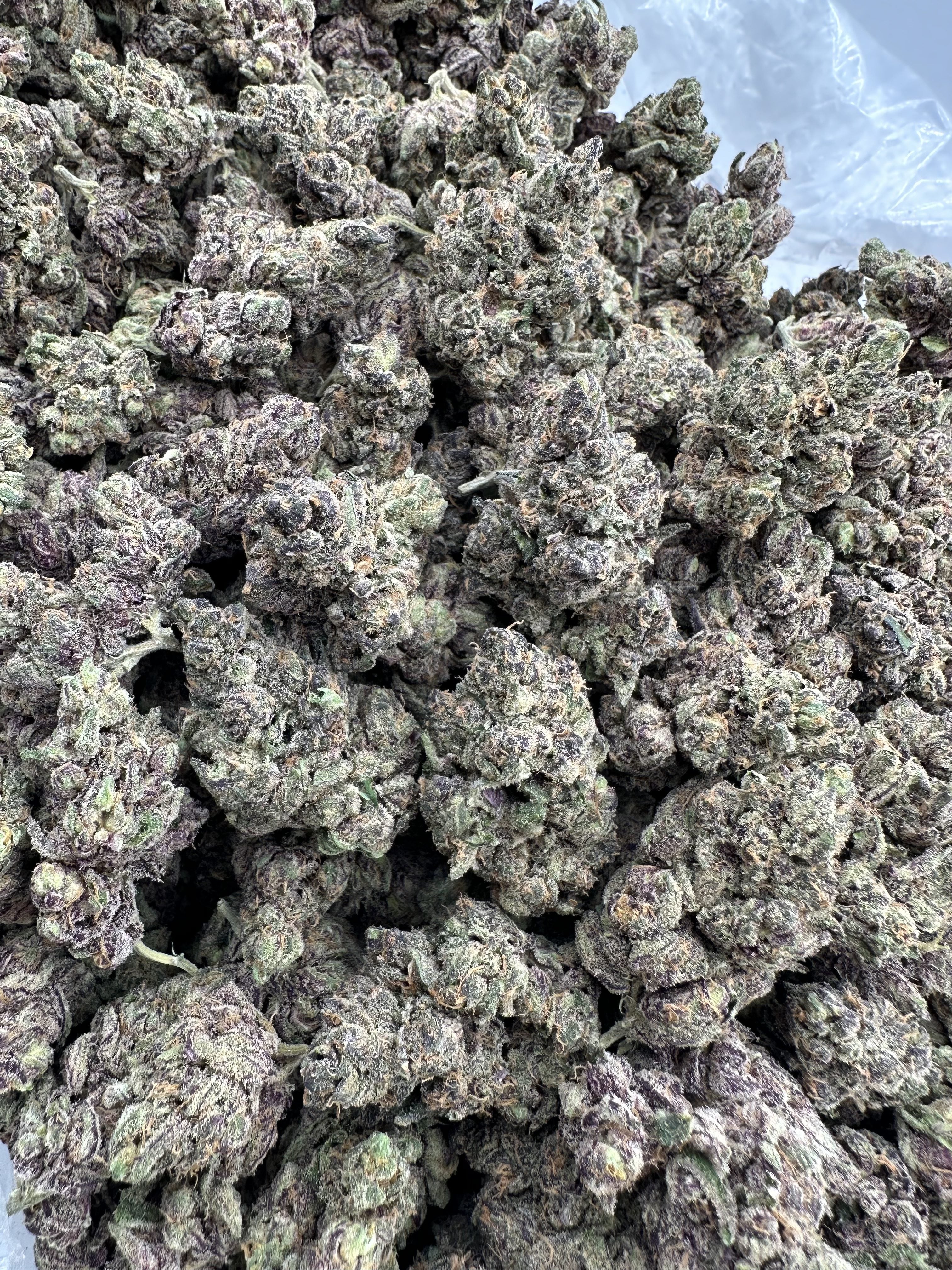 PINK ROZAY – INDOOR THCA