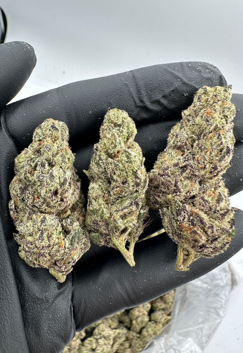 PURPLE DREAM – INDOOR THCA