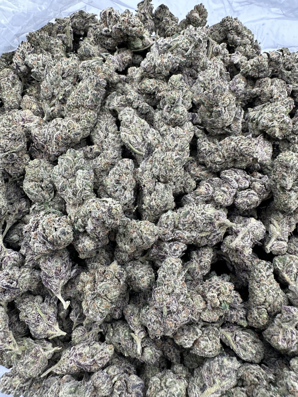 PURPLE DREAM – INDOOR THCA