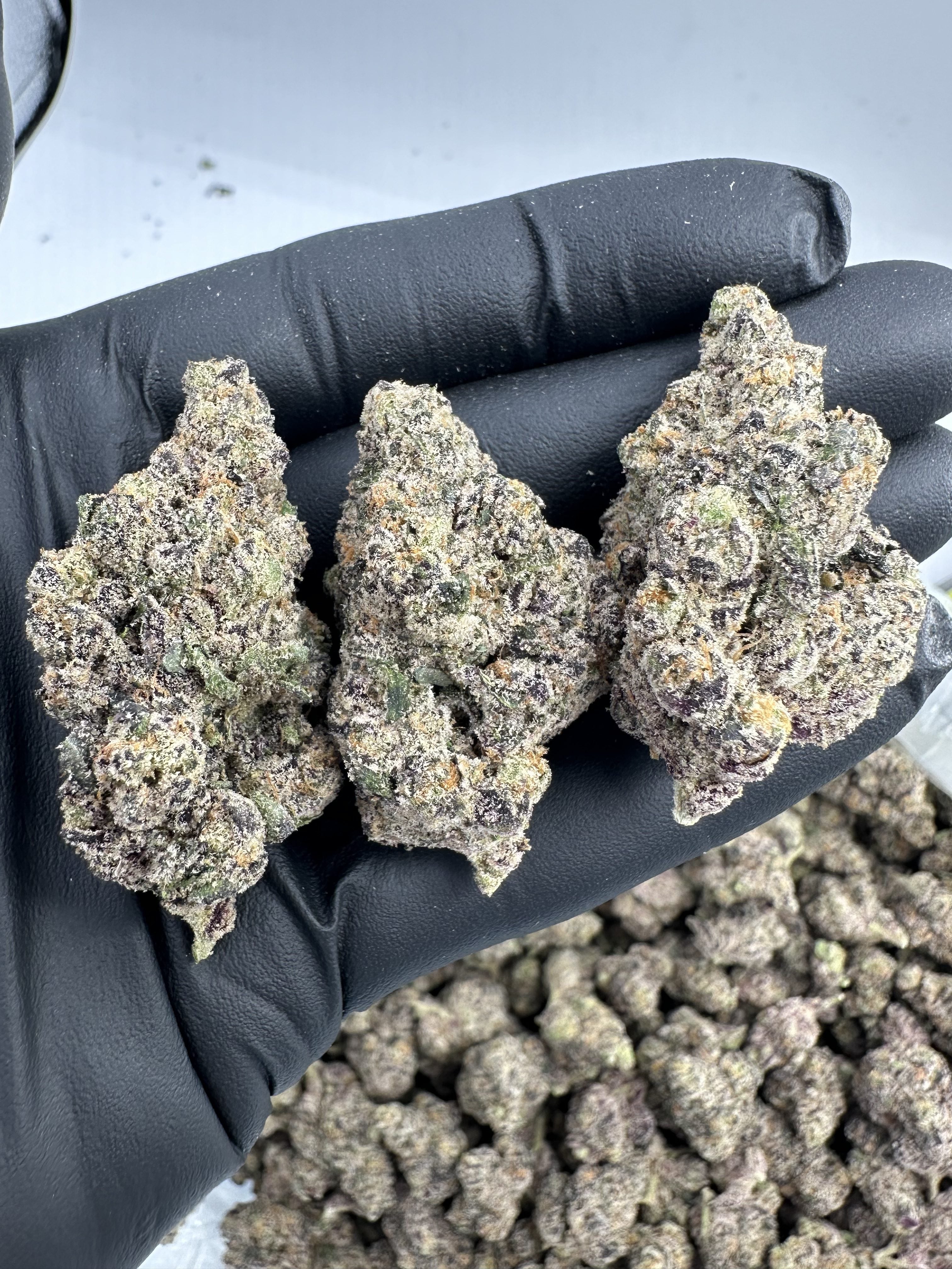 PURPLE PANTY DROPPER – INDOOR THCA