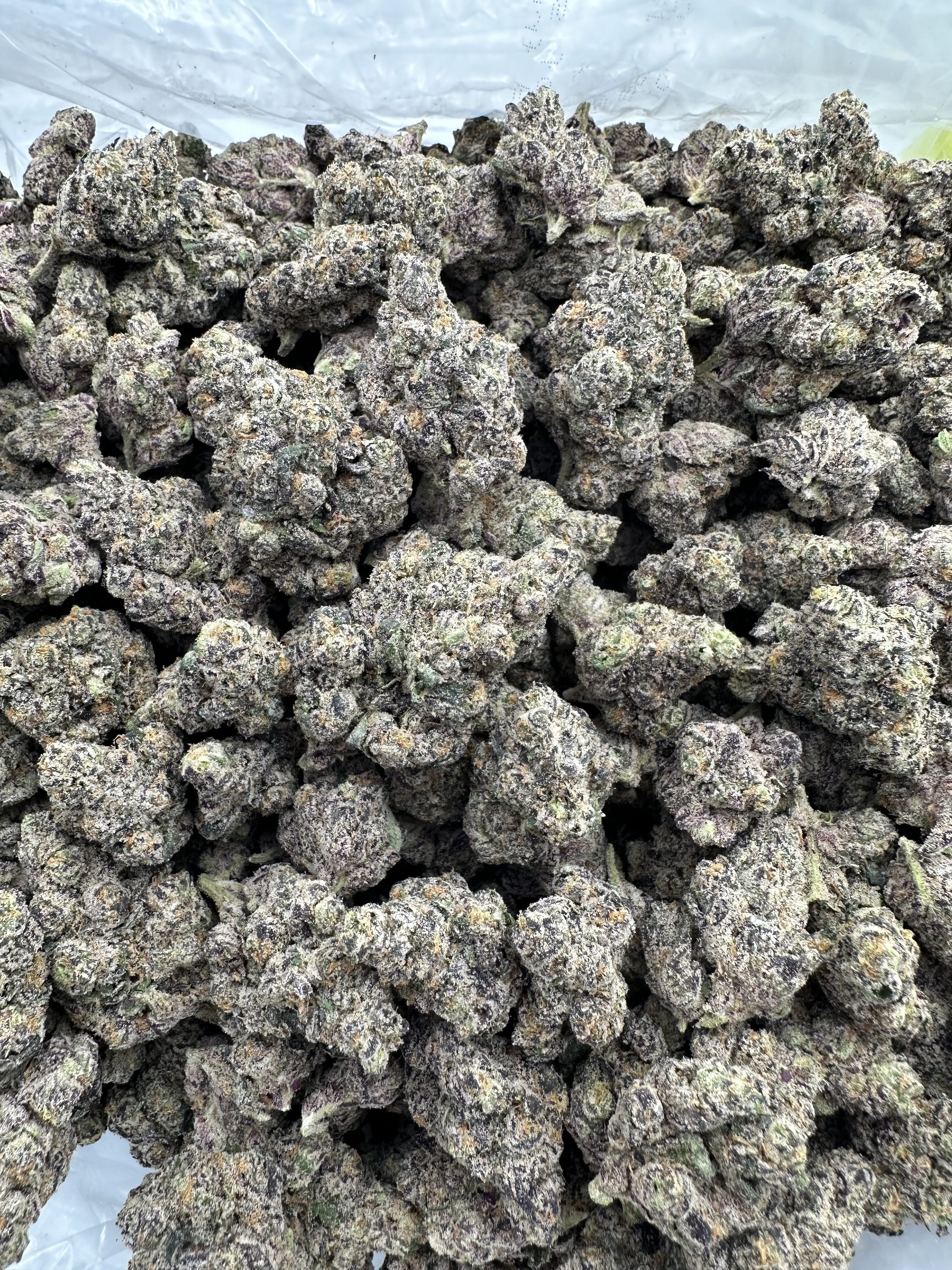 PURPLE PANTY DROPPER – INDOOR THCA