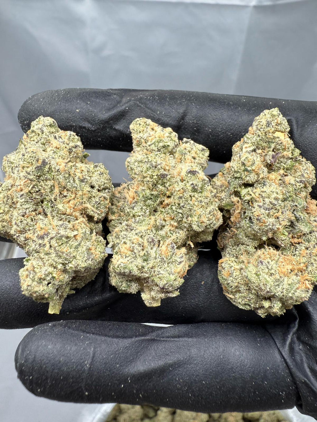 RASPBERRY GAS – INDOOR THCA