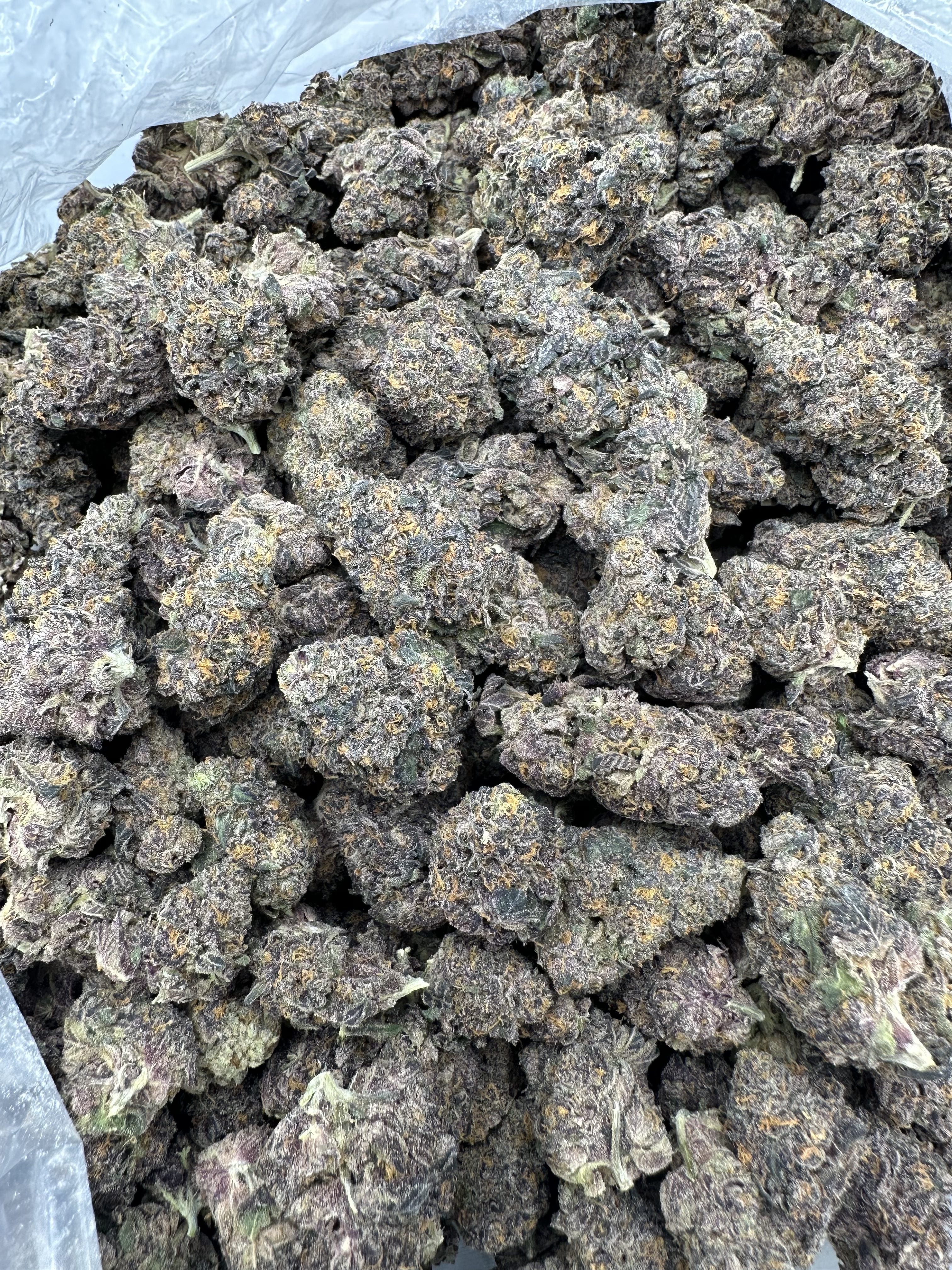 PERMANENT MARKER – INDOOR THCA