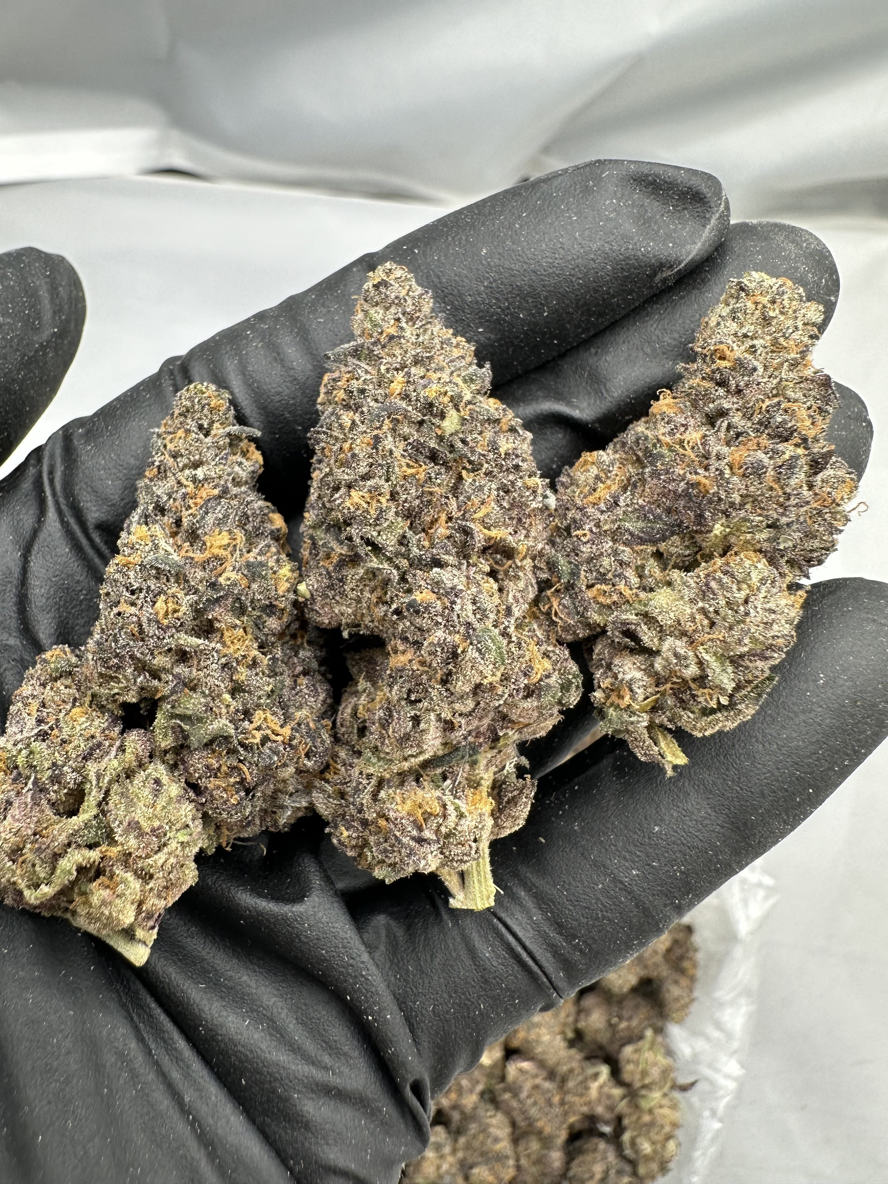 PERMANENT MARKER – INDOOR THCA