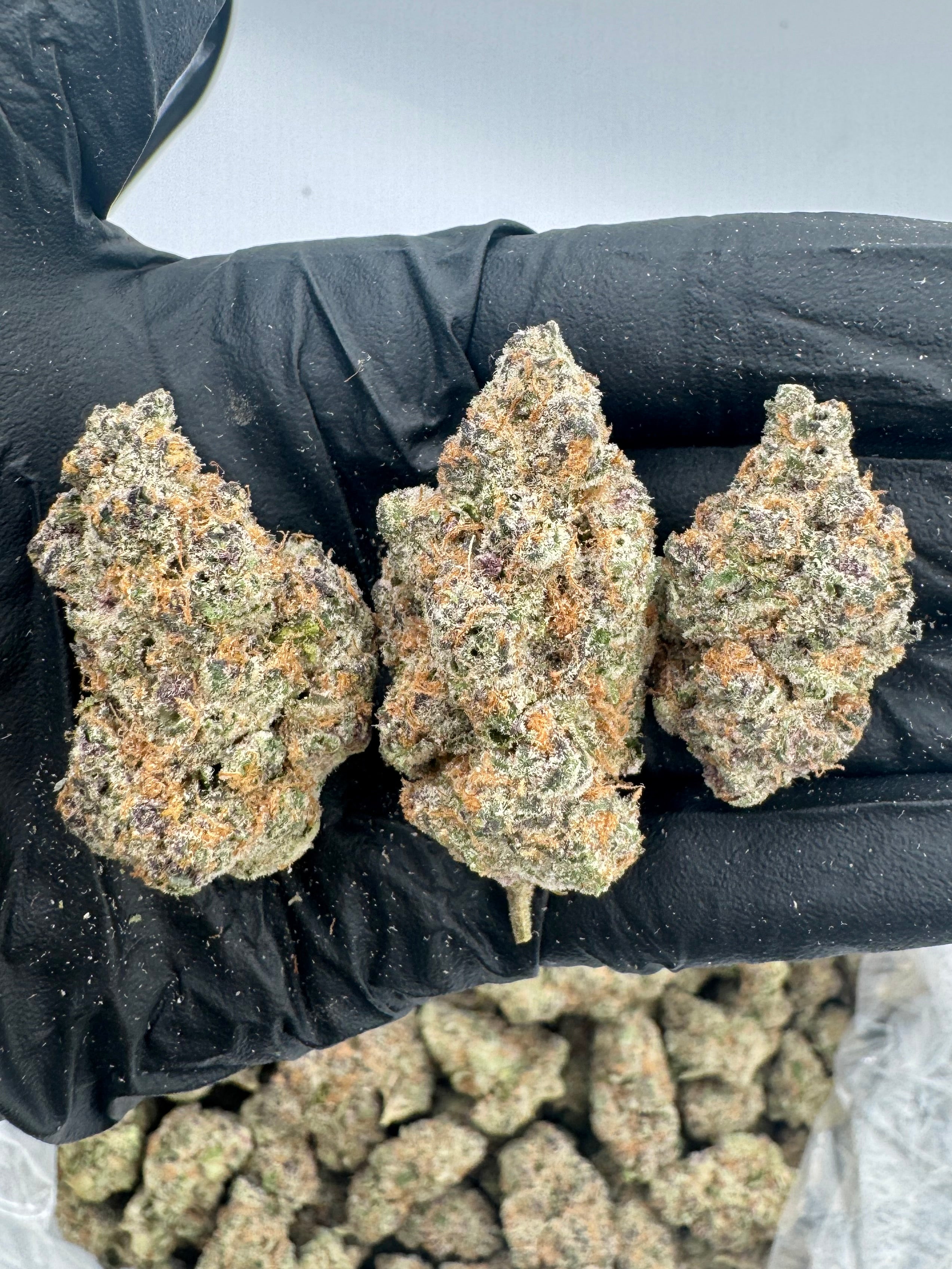 SCENTED MARKER – INDOOR THCA